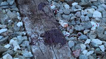 Free download Battlin Bob - Never Again [Official Music Video] video and edit with RedcoolMedia movie maker MovieStudio video editor online and AudioStudio audio editor onlin